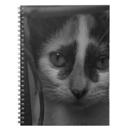 Caderno Espiral Preto e Branco - Kitty 02