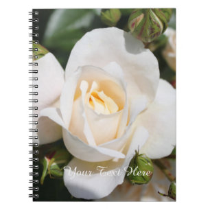 Caderno Espiral pretty pure white rose flowers. love, romance