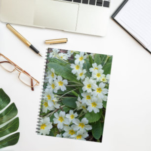 Caderno Espiral Primatas brancas com centrais amarelas
