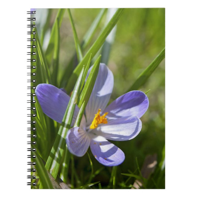 Caderno Espiral Primavera (Frente)
