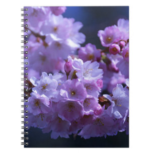Caderno Espiral Primavera está aqui!