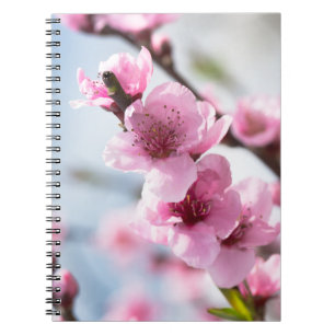 Caderno Espiral Primavera florescendo