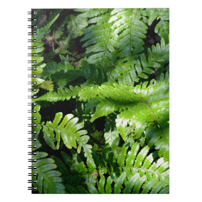 Caderno Espiral Primavera Green Ferns (Frente)