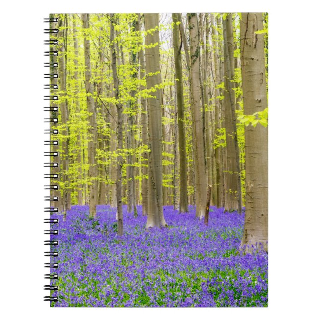 Caderno Espiral Primavera na Floresta Azul (Frente)