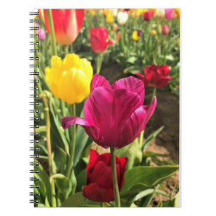 Caderno Espiral Primavera Tulips, Oregon