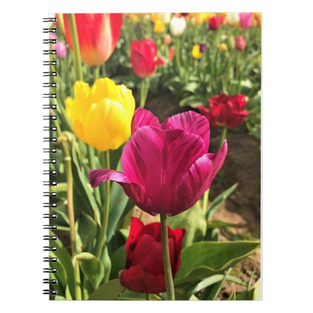 Caderno Espiral Primavera Tulips, Oregon (Frente)