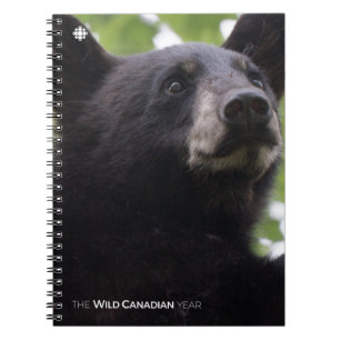 Caderno Espiral Primavera - Urso Preto