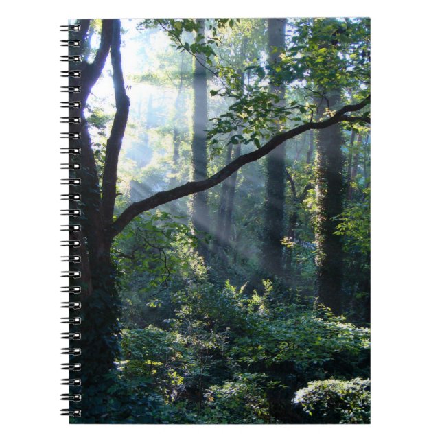 Caderno Espiral Primeiro notebook leve (Frente)