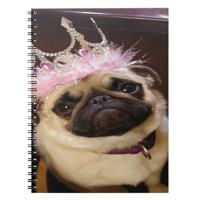 Caderno Espiral Princesa Pug (Frente)