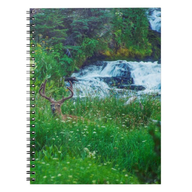 Caderno Espiral Príncipe da Floresta (Frente)