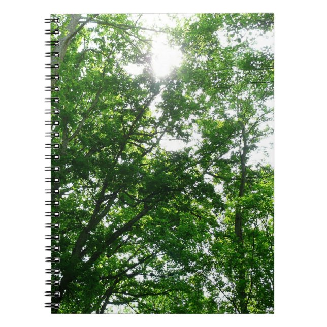 Caderno Espiral Procurando Árvores de Verão (Frente)