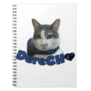 Caderno Espiral Produtos de Derecho