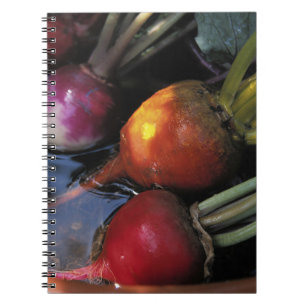 Caderno Espiral Produtos hortícolas de raiz coloridos
