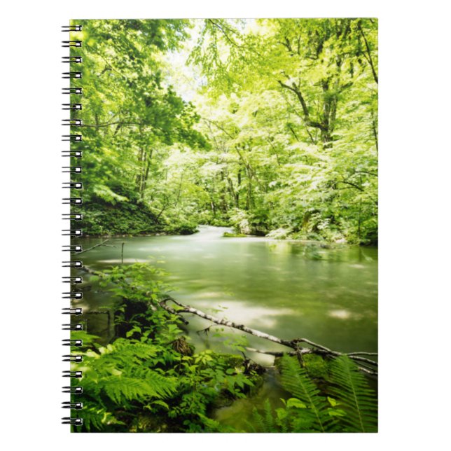 Caderno Espiral Profundamente na floresta (Frente)