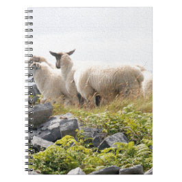 Caderno Espiral Projetos Excêntricos - Ovelhas em um campo
