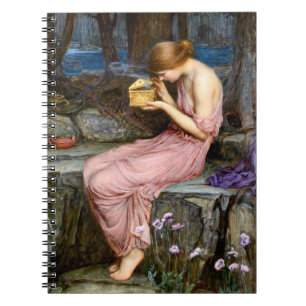 Caderno Espiral Psyche Abrindo a pintura de caserna com caixa de O