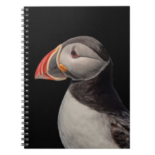 Caderno Espiral Puffin Atlântico em Machias, Maine