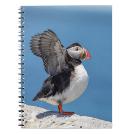 Caderno Espiral Puffin Atlântico em Machias, ME