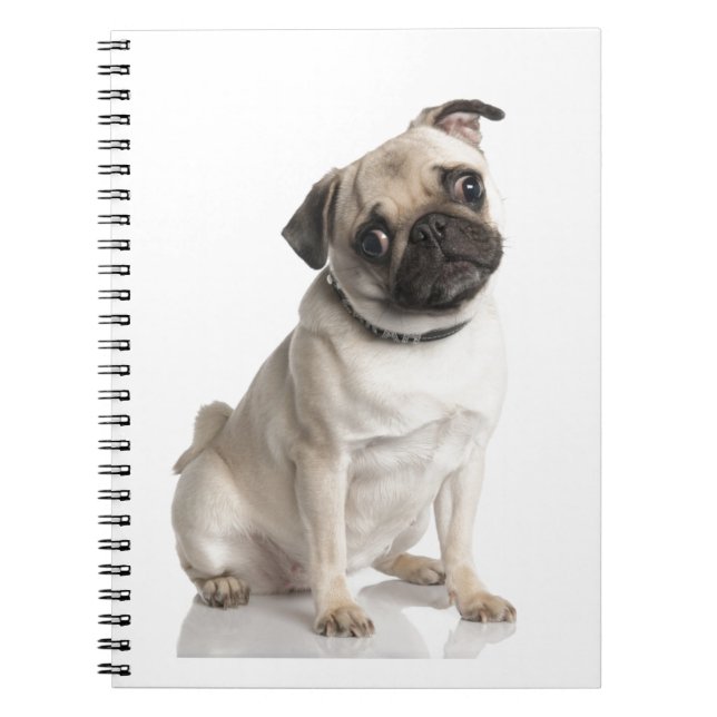 Caderno Espiral Pug (Frente)
