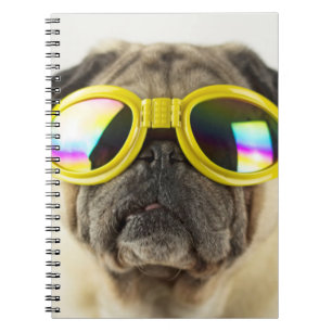 Caderno Espiral Pug com óculos
