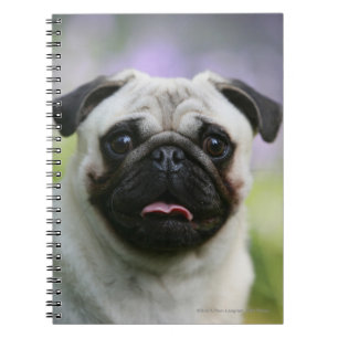 Caderno Espiral Pug da jovem corça no alerta