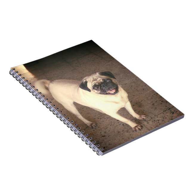 Caderno Espiral Pug design notebook(80 Páginas) (Lado Direito)