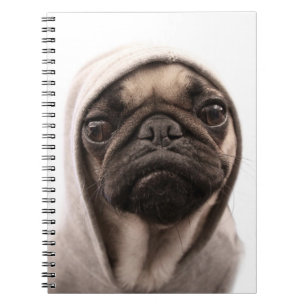 Caderno Espiral Pug em um Hoodie
