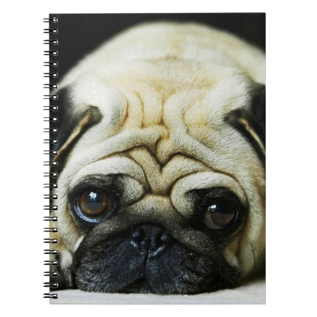 Caderno Espiral Pug Gato (Frente)
