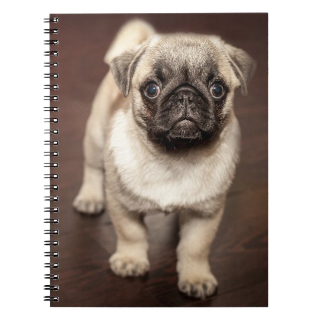 Caderno Espiral Pug Puppy no chão de madeira polida (Frente)
