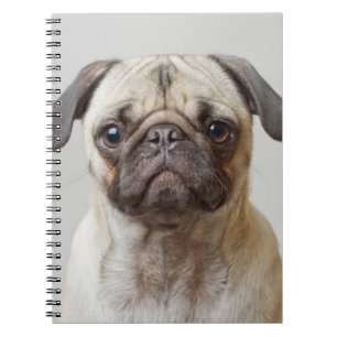 Caderno Espiral Pug Retrato