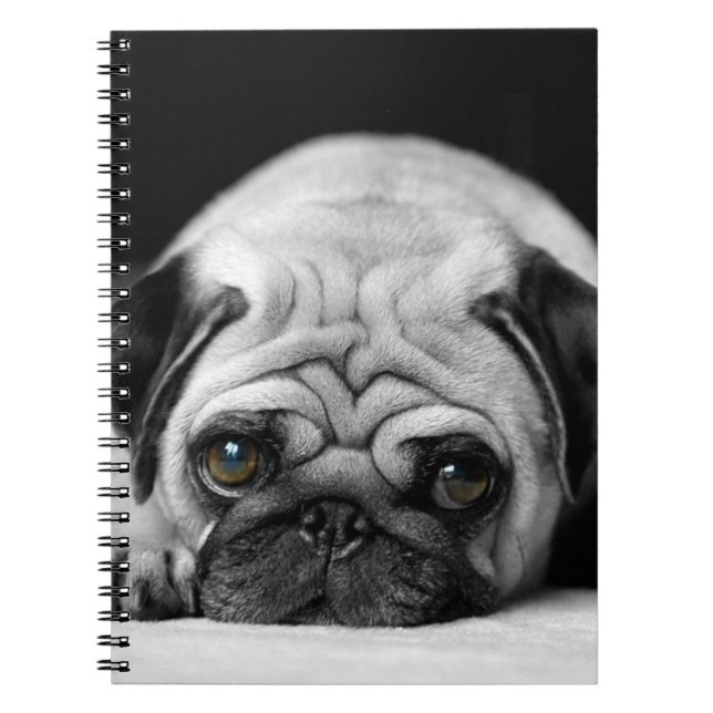 Caderno Espiral Pug triste (Frente)