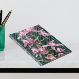 Caderno Espiral Pulverização das Orquídeas de Cymbidium Rosa