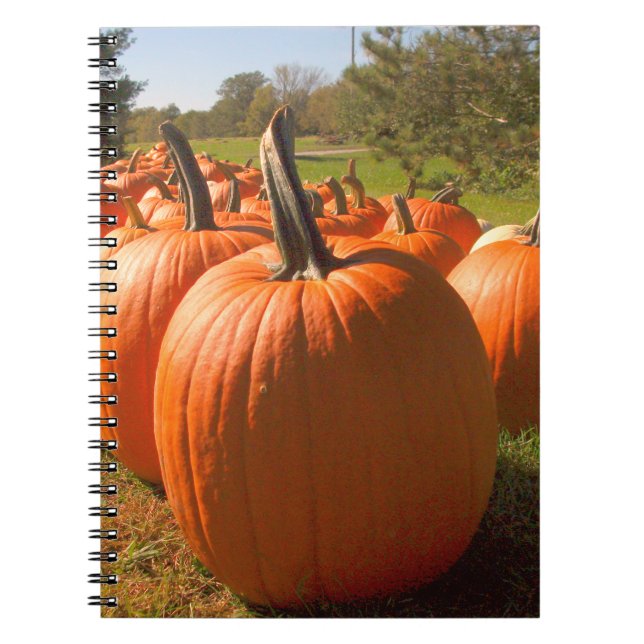 Caderno Espiral Pumpkin Harvest (Frente)