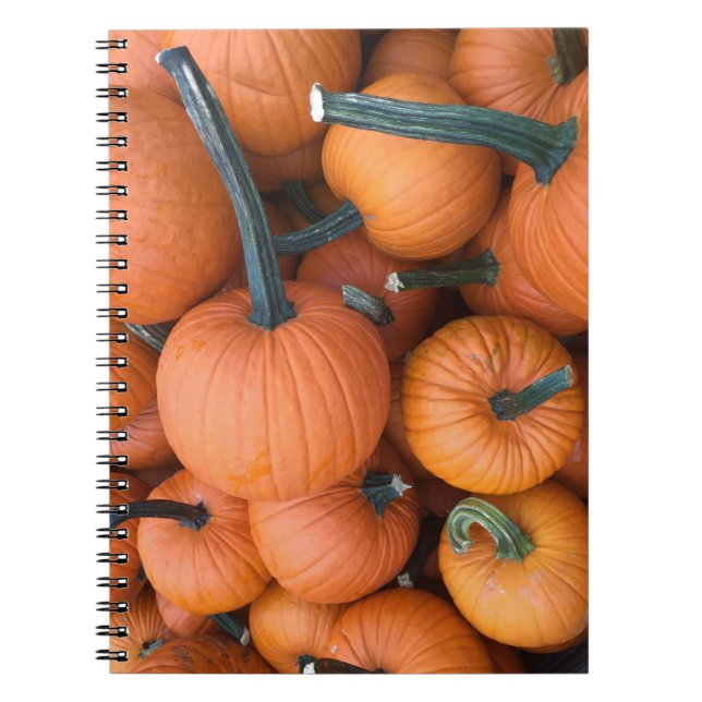 Caderno Espiral Pumpkin Pile! (Frente)