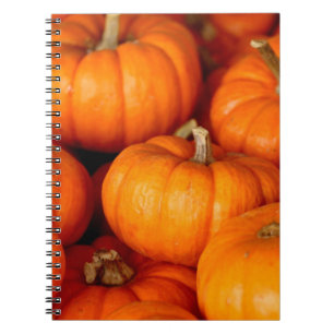 Caderno Espiral Pumpkins