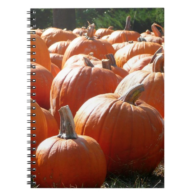 Caderno Espiral Pumpkins Foto para Queda, Dia das Bruxas ou Ação d (Frente)