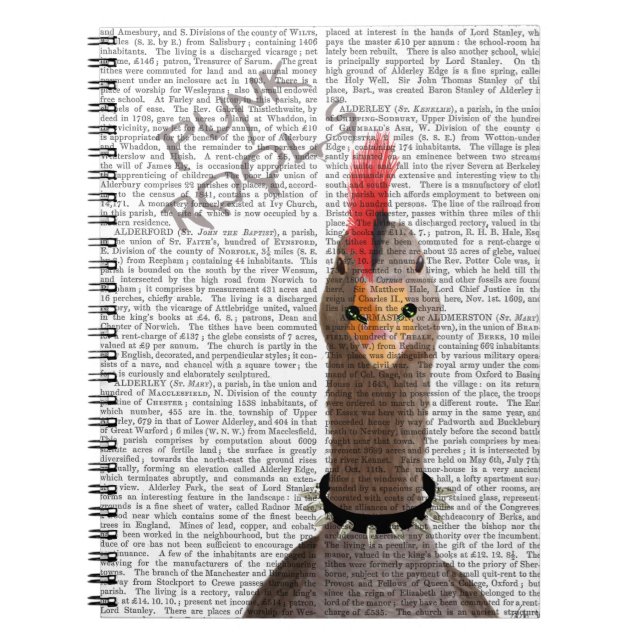 Caderno Espiral Punk Rock Goose (Frente)