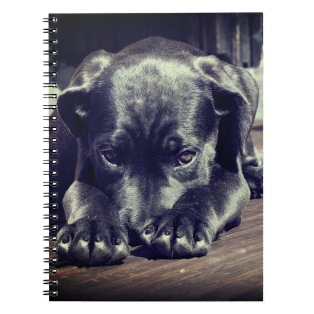 Caderno Espiral Puppy (Frente)