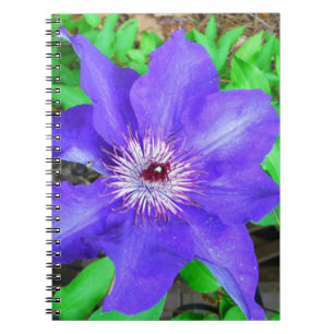 Caderno Espiral Purple Clematis Flower