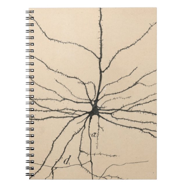Caderno Espiral Pyramida Neuron Desenho Por Santiago Ramón Y Cajal (Frente)