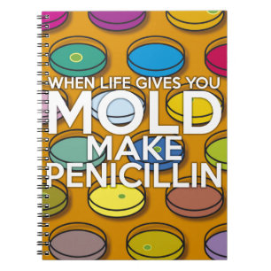 CADERNO ESPIRAL QUANDO A VIDA LHE DÁ BOLOR FAÇA PENICILINA