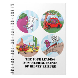 Caderno Espiral Quatro causas de condução da insuficiência rena