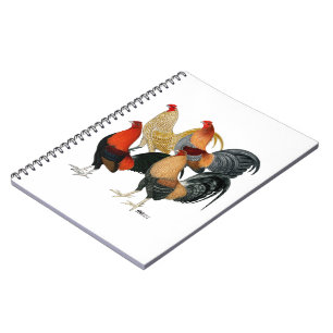 Caderno Espiral Quatro Gamecocks