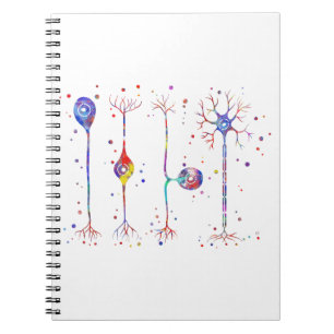 Caderno Espiral Quatro tipos de neurônios