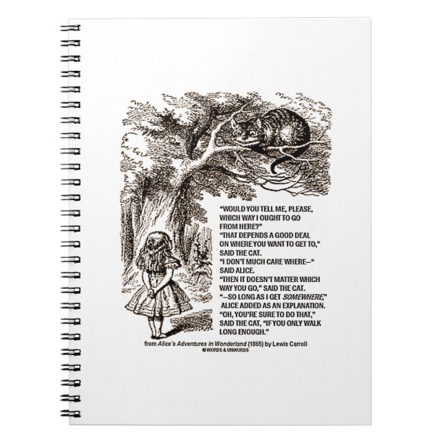 Caderno Espiral Que Caminho Eu Deveria Ir Daqui (Frente)