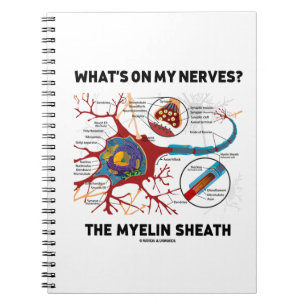 Caderno Espiral Que está em meus nervos? A bainha de Myelin