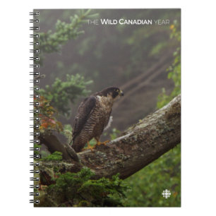 Caderno Espiral Queda - Falcão Peregrino