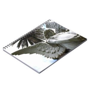 Caderno Espiral Queda na paz