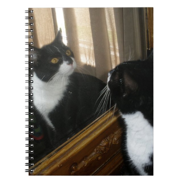 Caderno Espiral Quem é essa cara considerável? (Frente)