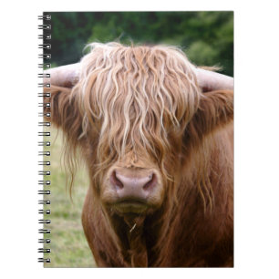 Caderno Espiral Quem fez as luzes apagarem o notebook